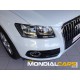 AUDI Q 5 2.0 TDI  177 CV QUATTRO STRONIC BUSINESS